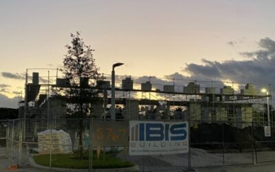 November Ibis News